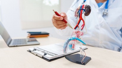 Hererák: tünetek, önvizsgálat, kezelés és a leggyakoribb kérdések válaszokkal című cikk nyitóképe