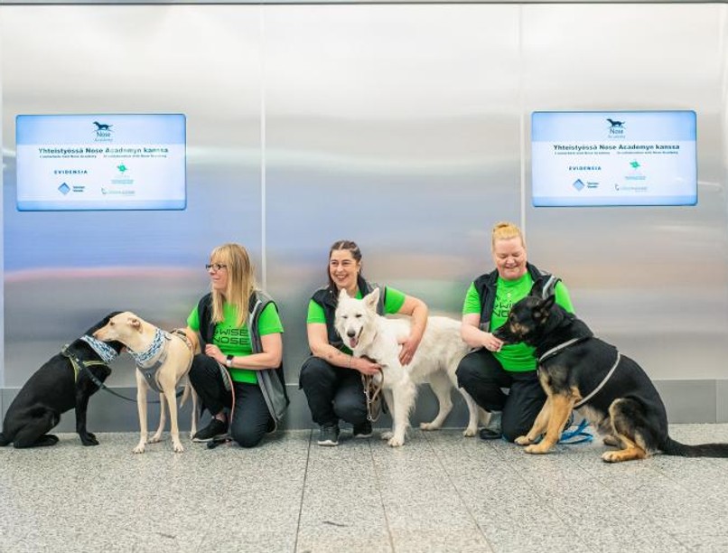 koronavírus, kutya, covid-19, finnország