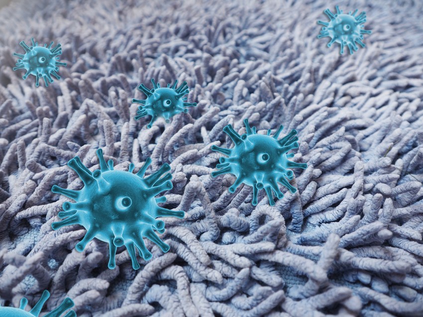 Meddig nevezhető tisztának egy törölköző? Kevesebb ideig, mint hinné.