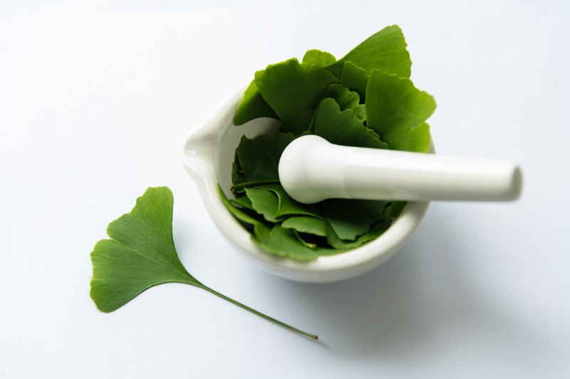 Ginkgo biloba - nem való mindenkinek, ilyen mellékhatásai lehetnek az ismert gyógynövénynek