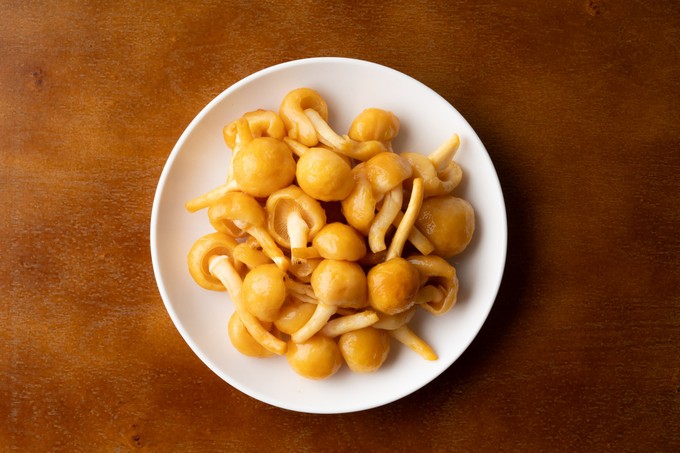 Ez az apró gomba segíthet megszabadulni a mikroműanyagoktól című cikk nyitóképe