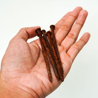 Egy rozsdás szöggel megsértettem magam, azóta furcsa tüneteket érzek - lehet tetanusz? Az orvos válaszol című cikk nyitóképe