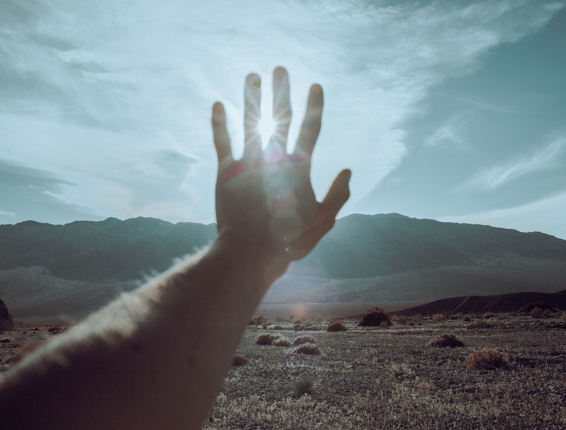 halál megállítható élet tudós