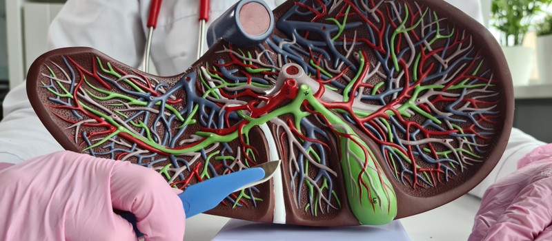 Epehólyagrák: megtévesztő tünetek is utalhatnak rá! Ezekre figyeljen oda