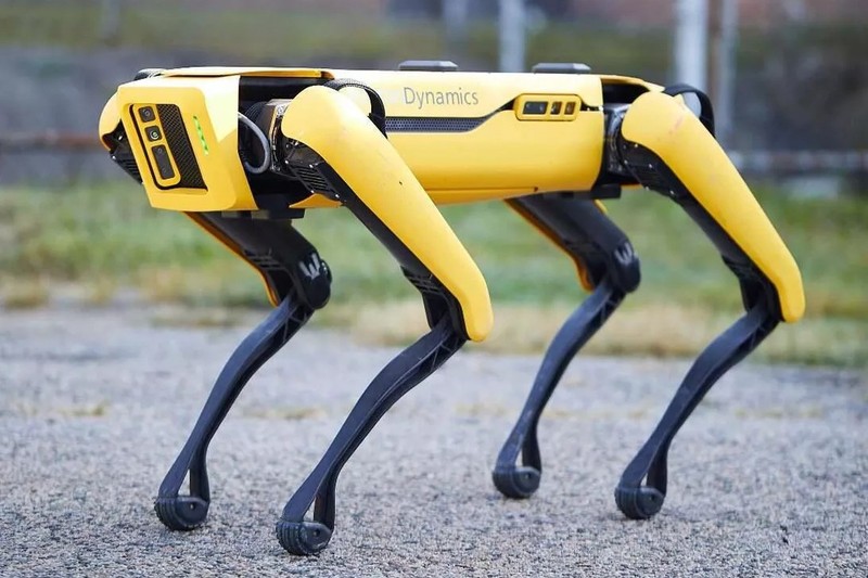 Esztergomi robbantás: ilyen robotkutyával elkerülhető lett volna a tragédia