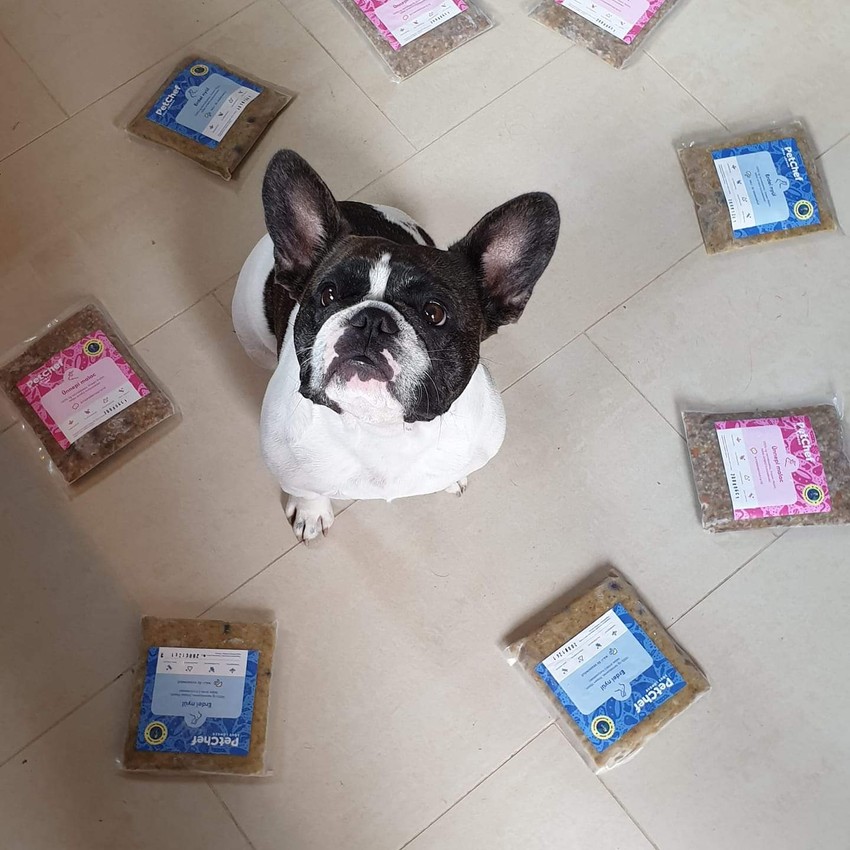 Józsi doki kifejlesztett egy kutyaeledelt is