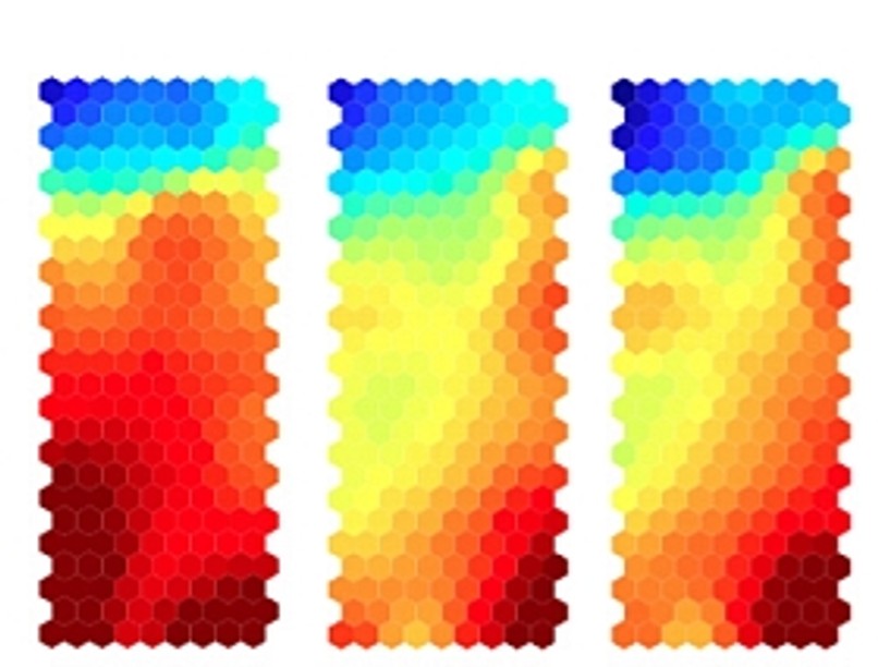 autoimmun-konverzio-d00001CBD67ef68964a52