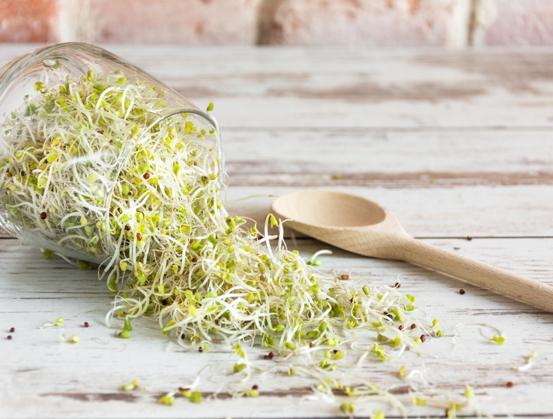 orvos válaszol csíra étkezés ellenjavallat táplálkozás