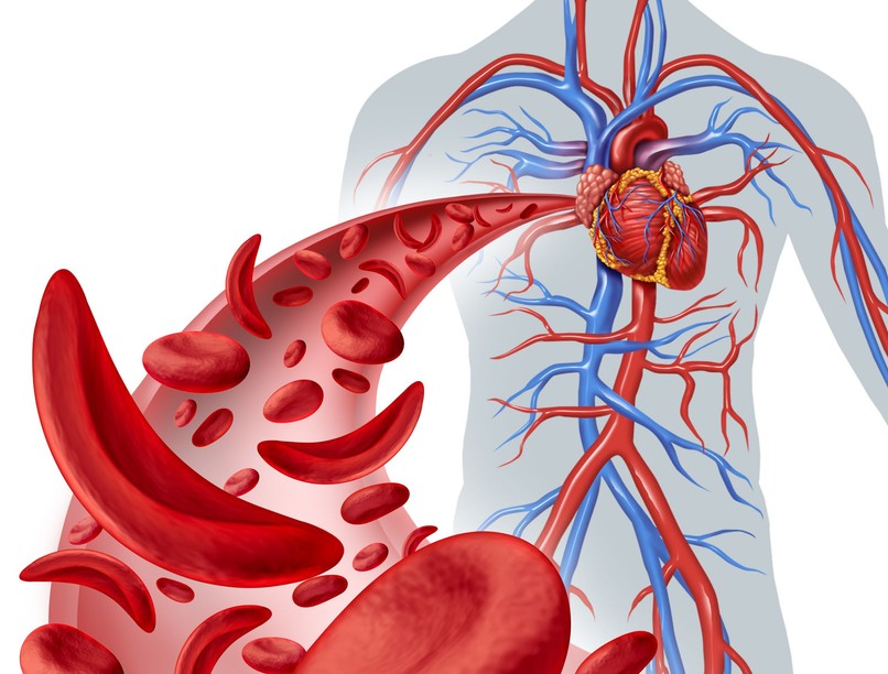 Annyi idősek vagyunk, mint az ereink