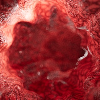 Mi a kapillaroszkópia és mit mutat ki? című cikk nyitóképe