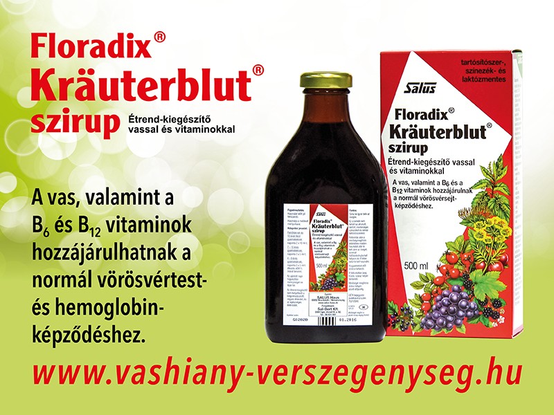 Floradix Kräuterblut szirup