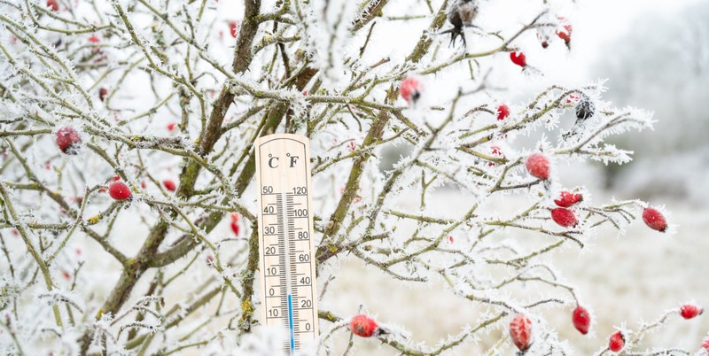 Az átlagosnál enyhébb és szárazabb volt a január