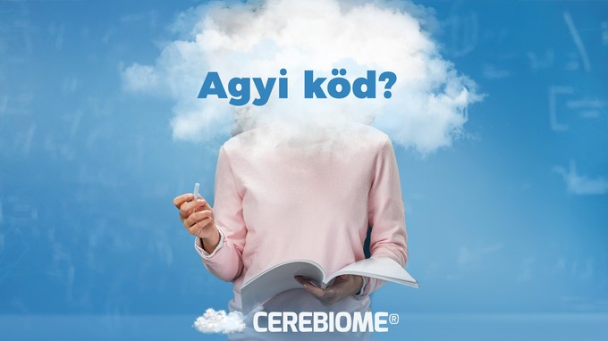 Bél-agy tengely és agyi köd: milyen összefüggések állhatnak a háttérben? (x) című cikk nyitóképe