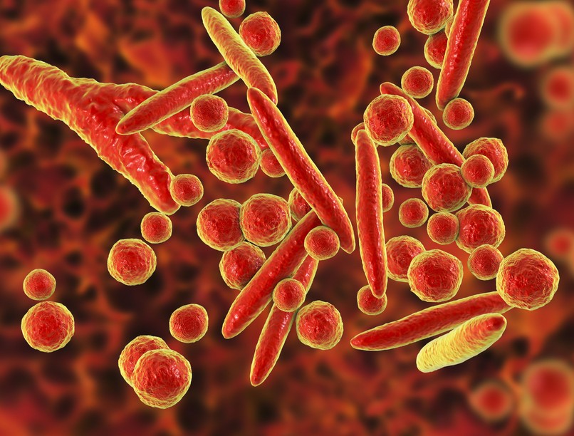 fertőzés kína tüdőgyulladás Mycoplasma pneumoniae