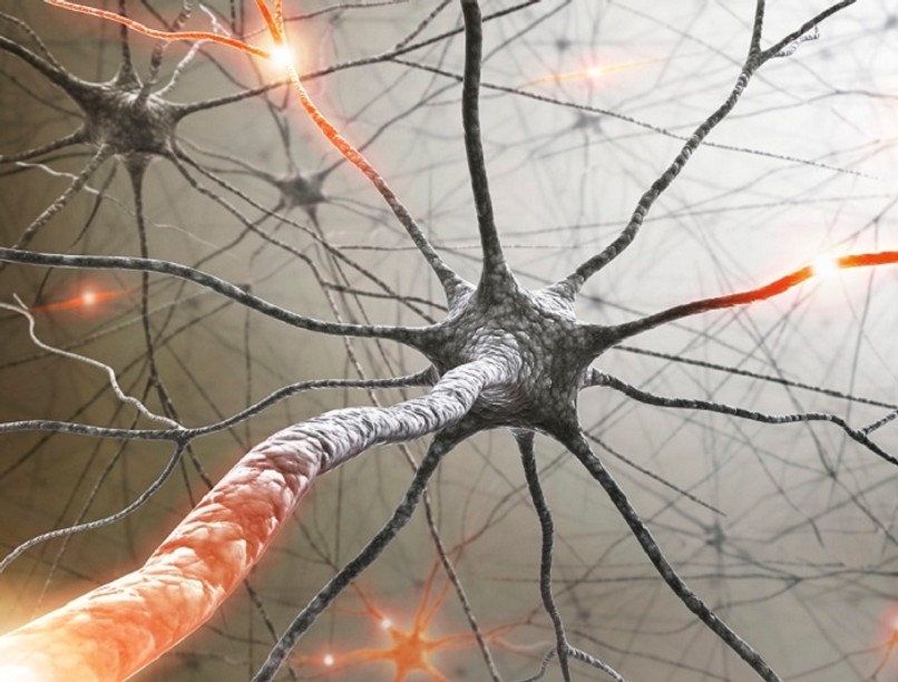 multiple_sclerosis_masolata_0