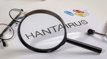 Repülőn is felmerült a hantavírus-fertőzés veszélye egy óceánjáró utasai után című cikk nyitóképe