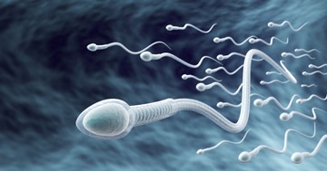 Ebben az életkorban kezdenek „romlani” a férfiak spermái