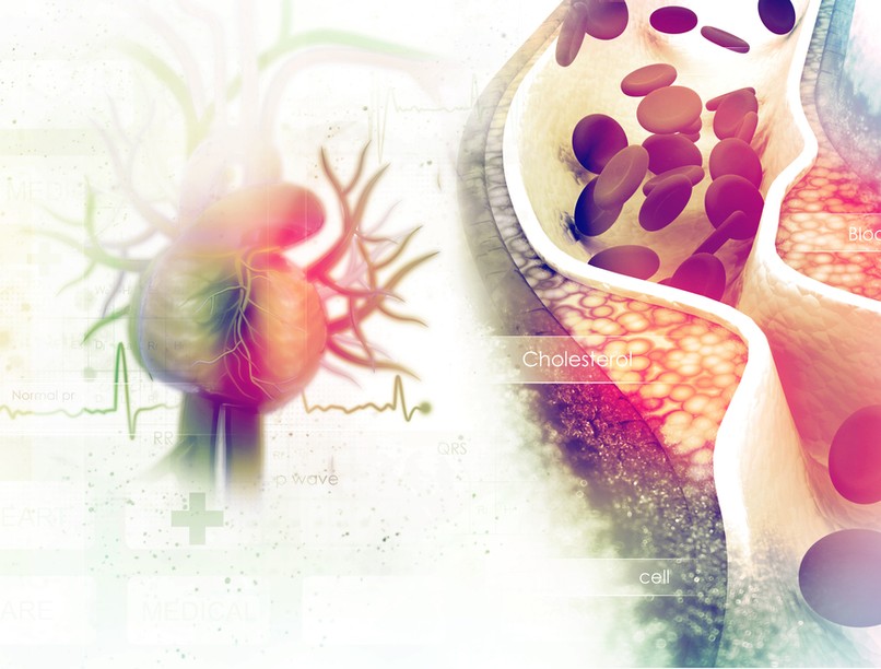 shutterstock_458511238