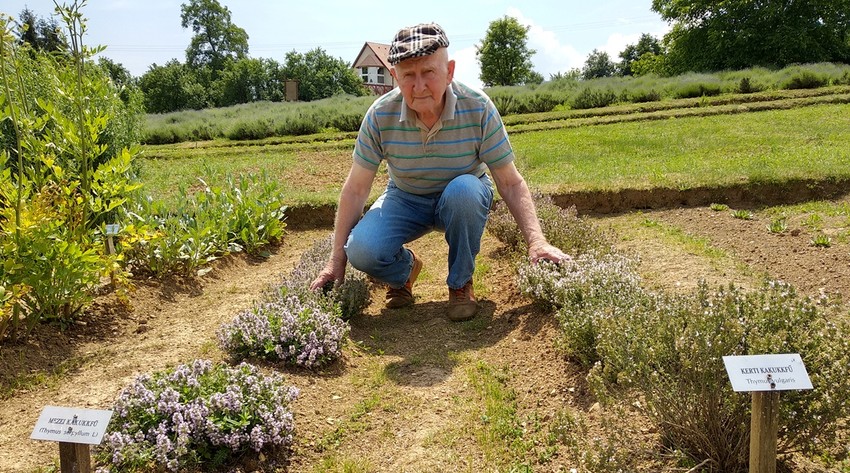Szabó Gyuri bácsi gyógynövényes kertje