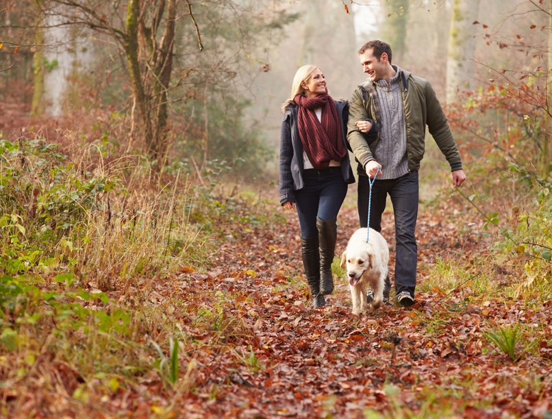 ősz kullancs védekezés lyme-kór, hírek