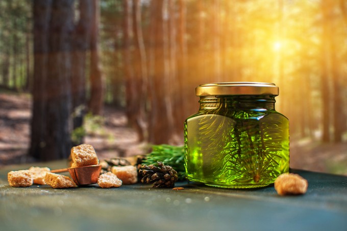 Köhögés elleni szirup házilag: most szüretelheti le ezt a fontos gyógynövényt hozzá című cikk nyitóképe