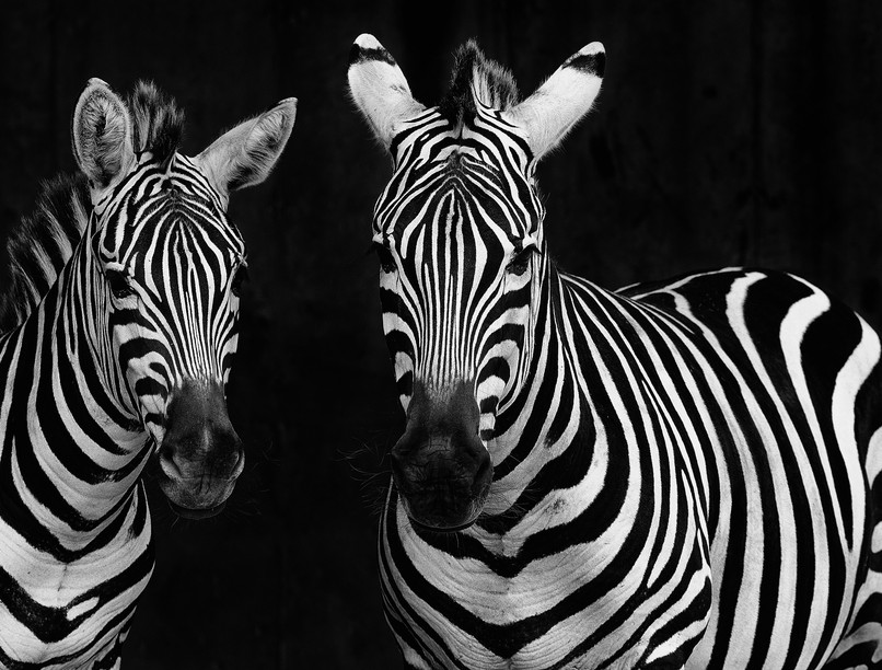 demencia elbutulás figyelmeztető tünet