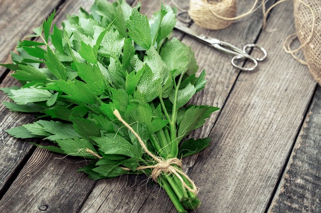 Vesekő és köhögés ellen: ez az ismert fűszer gyógynövényként is beválhat