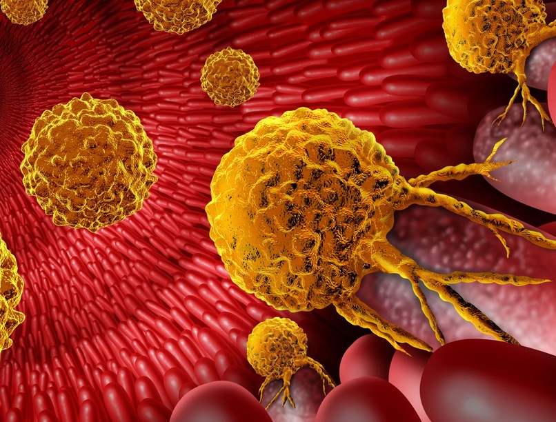 rákos sejtek immunrendszer vastagbél T-sejtek kutatás