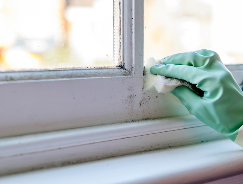 tünetek rejtett penész lakásban