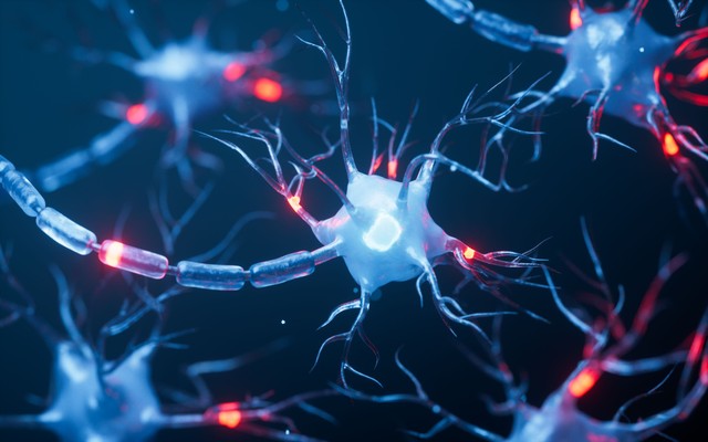 Lehet, hogy az összes biológia tankönyv hibás - egy friss kutatás meglepő eredményeket tárt fel