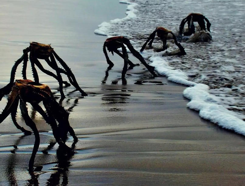 ufo, pánik, aloe vera, idegen lények, gyógynövény