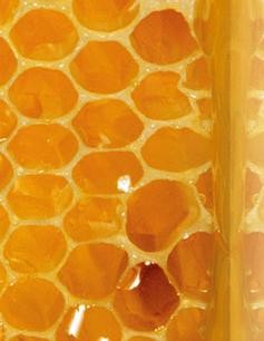 Egy érdekesség: méz, mint antibiotikum?