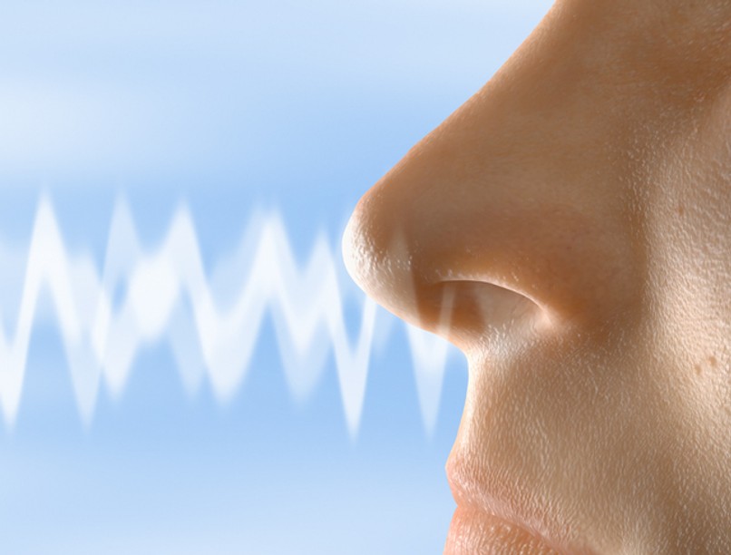 koronavírus, szaglás, ízlelés, covid