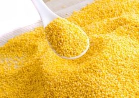 Kölessel az egészségünkért