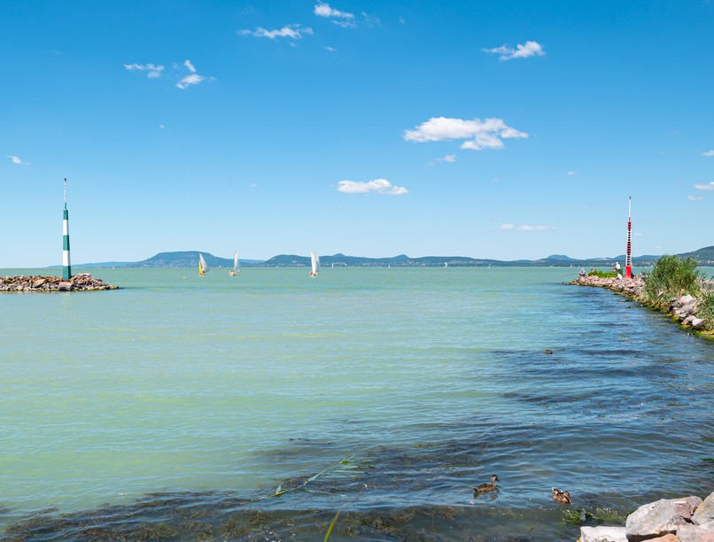 balatonlelle, mentőmellény, gyerek, kikötő, balaton