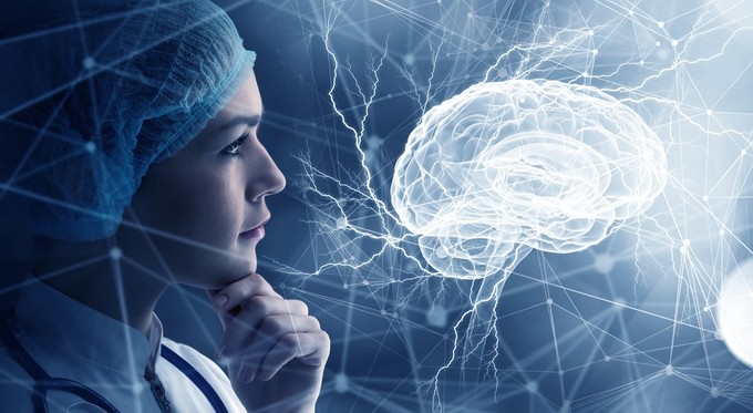 Így tanul, tervez és hoz döntést az agyunk című cikk nyitóképe