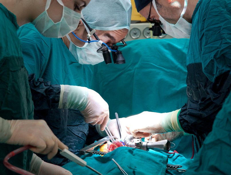 szívtranszplantáció , sertésszív, szívbetegség, kutatás, szerv transzplantáció, szervhiány