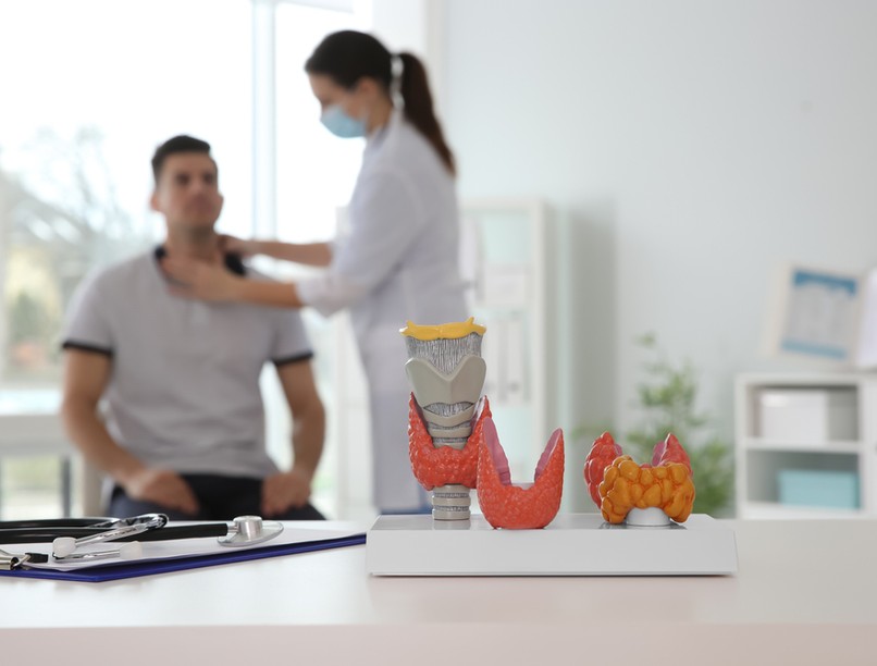 Hashimoto, Hashimoto thyreoiditis, endokrinológus, hormonális betegség, Hashimoto tünetei, Hashimoto kezelése