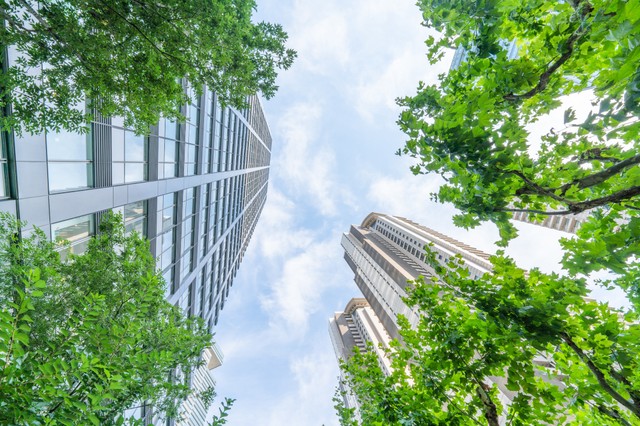 Ezért lennének fontosak a városokban a zöld terek - 15 fokkal is enyhíthetik a hőterhelést