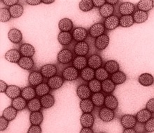 Rotavírus: nyolc uniós ország ingyen olt!