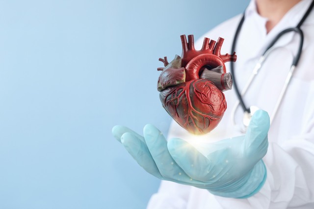 Az Európai Kardiovaszkuláris Akcióterv változásokat hozhat a szív- és érrendszeri betegségek kezelésében