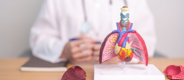 Tüdőfibrózis tünetei, vizsgálata és kezelése