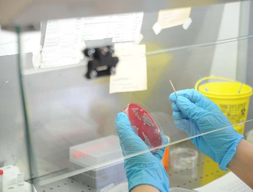 multirezisztens baktériumok, antibiotikum, rezisztencia, MRSA, fertőzés