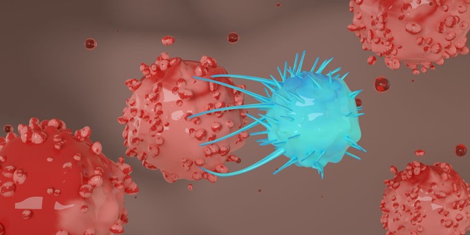 Újraindították az immunrendszerét: 3-féle halálos betegségből gyógyult fel az édesanya egy eljárás után című cikk nyitóképe