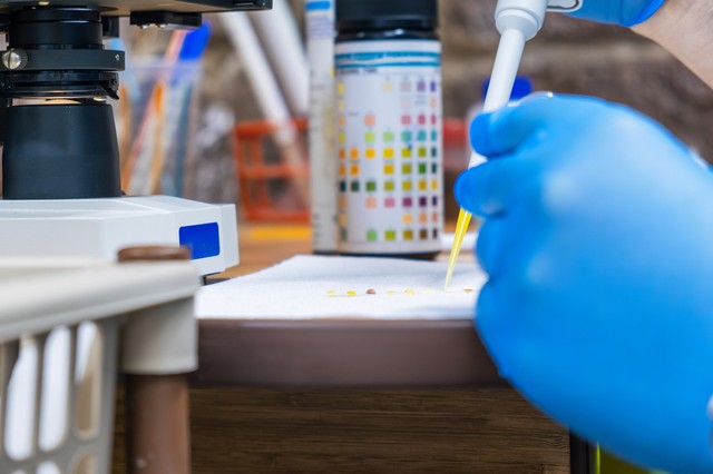 Mit jelent a nitrit érték a laborleleten?