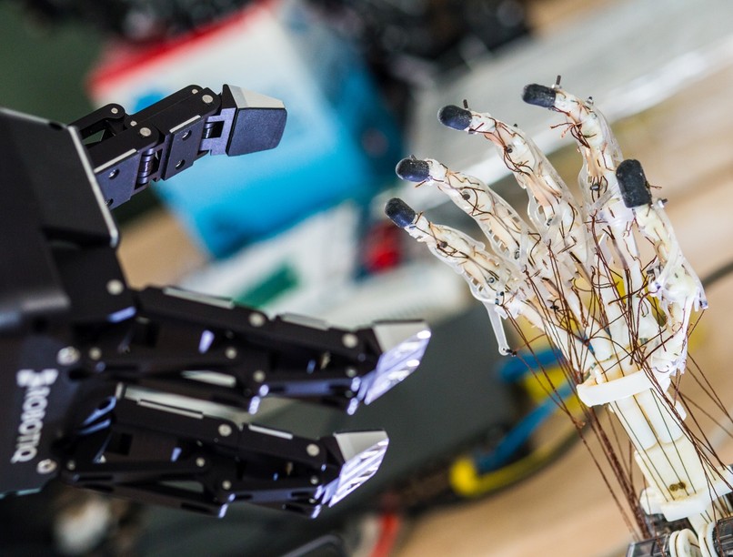 bionika magyar pázmány péter egyetem hírek kutatás