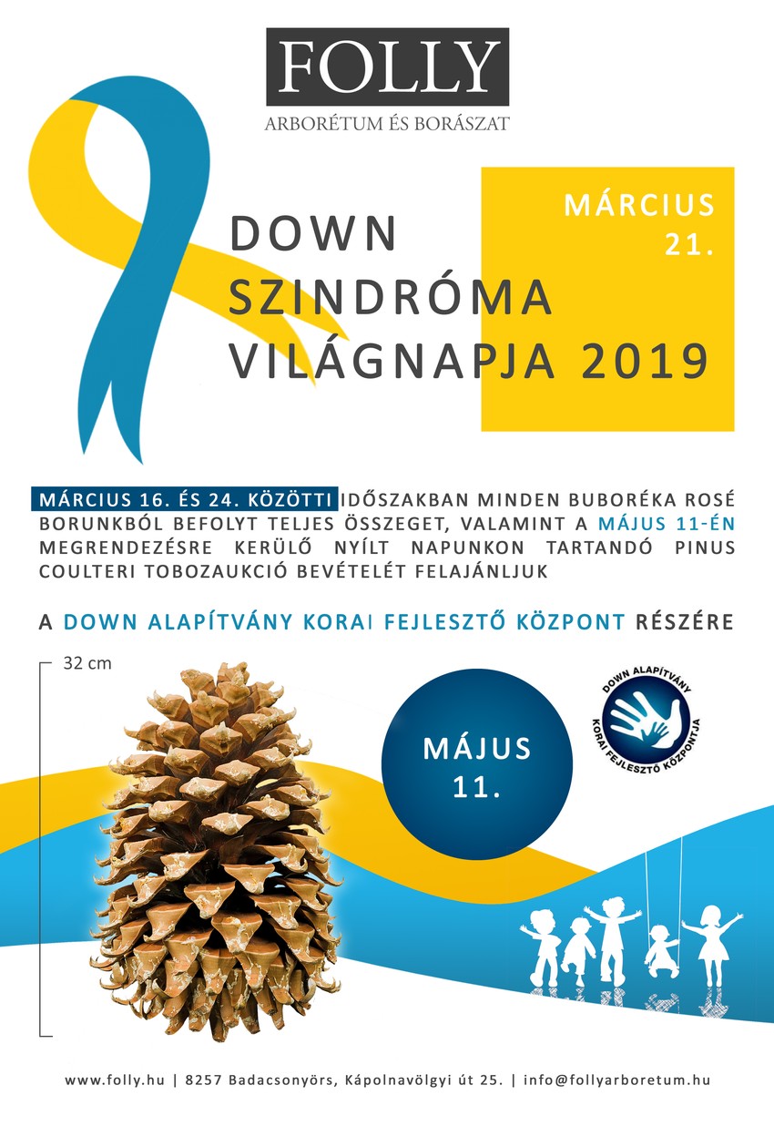 Down szindróma világnapja, 2019.