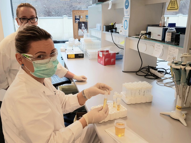 Megcsalt a párom, ha neki más HPV-fertőzése van, mint nekem?