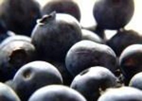 Az áfonya segíti a daganatellenes kezelést