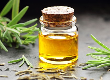 Rozmaringolaj a hajra? Ez történik, ha rendszeresen használja című cikk nyitóképe